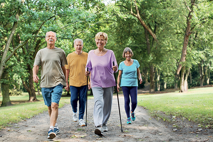 groupe de senior marchant dans la nature en tenue de sport