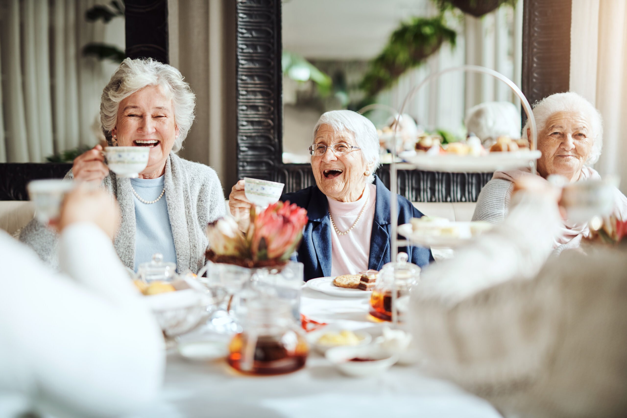 Groupe de femme senior prenant le thé